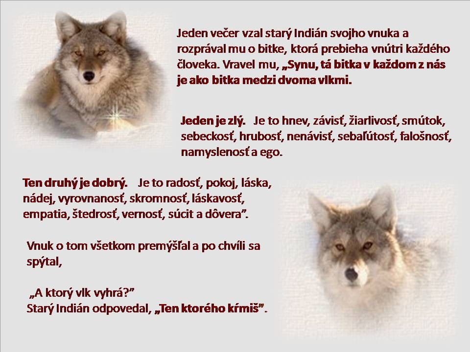 4 Vlci - múdrosť. k..jpg